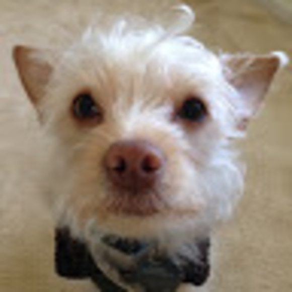 Meet your Posher, Souksavanh - Picture 1 of 1